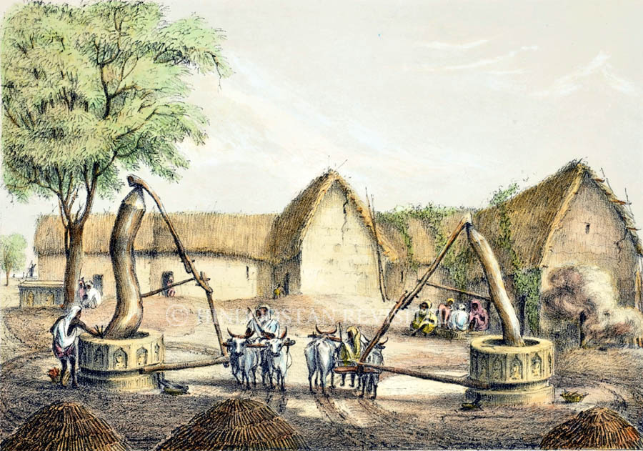 /data/Original Prints/Miscellaneous/THE SUGAR MILLS AT BELASPORE.jpg